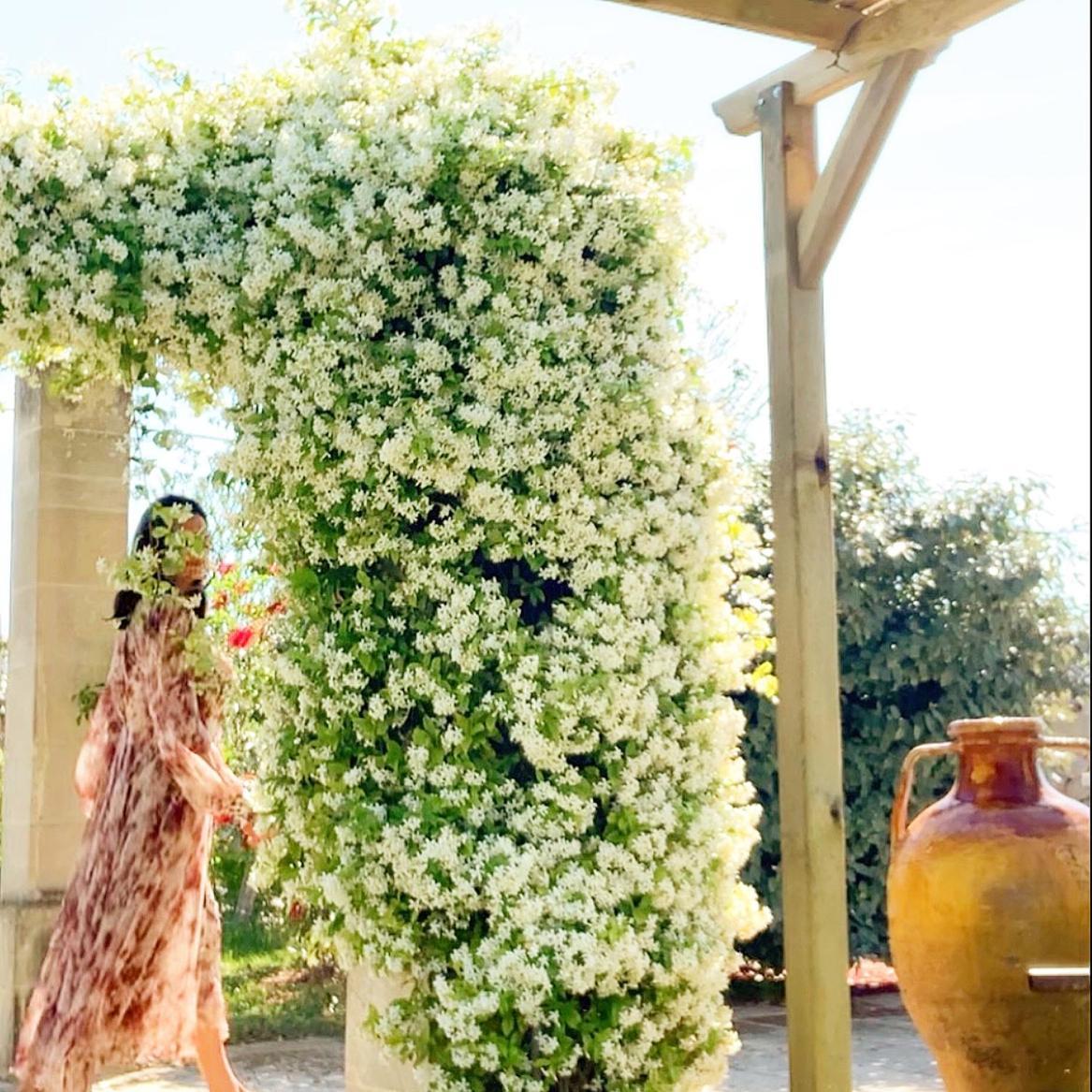 Masseria Vittoria Акая Экстерьер фото