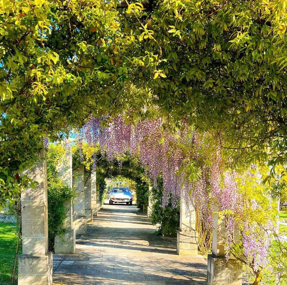Masseria Vittoria Акая Экстерьер фото
